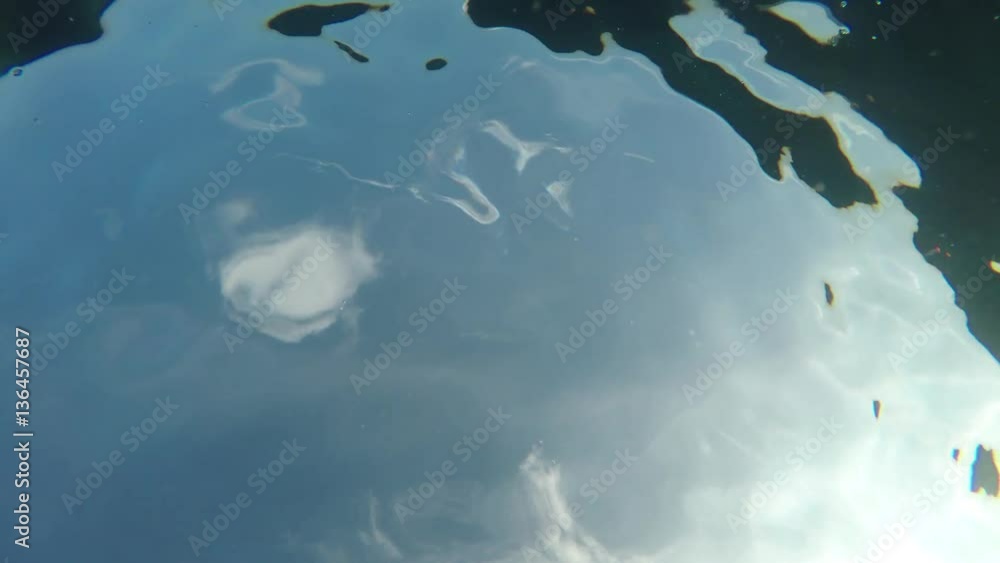 im Wasser von unten nach oben gefilmt im Wasser von unten nach oben gefilmt