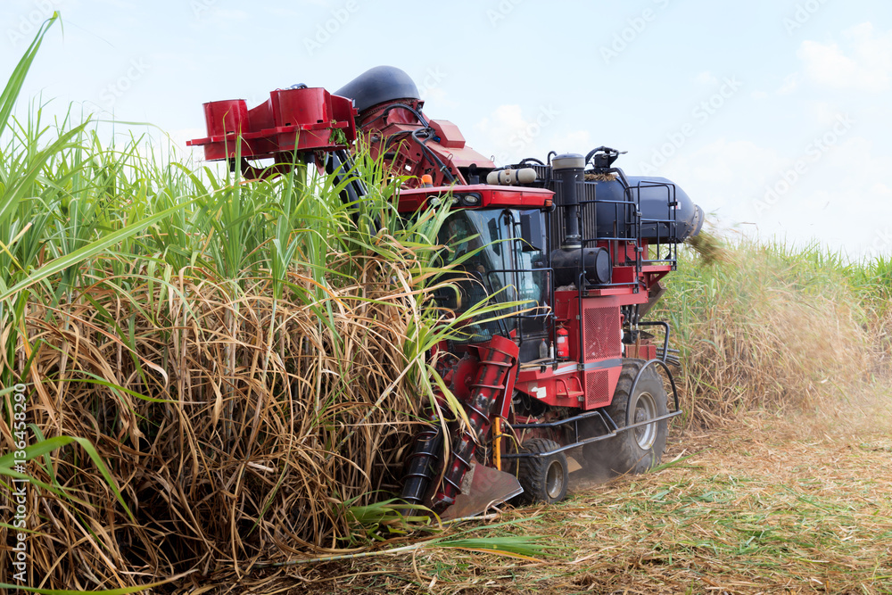 Obraz premium Sugarcane harvester machine