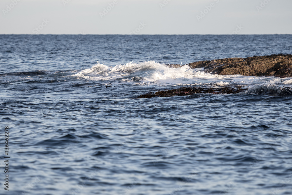 Fototapeta premium Senja