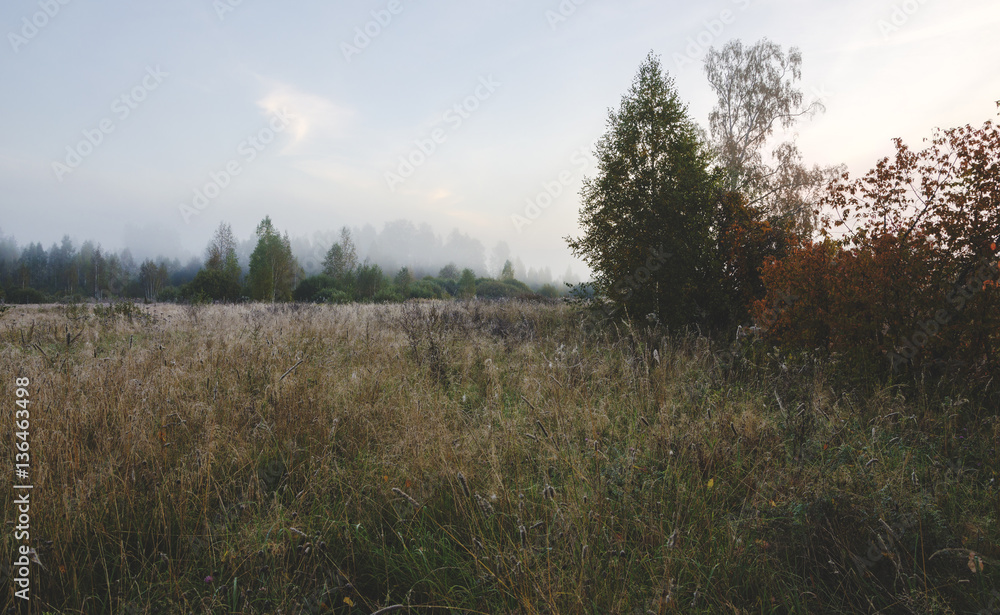 Autumn scene Autumn scene