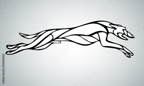 Slika na platnu Lineart silhouette of running dog whippet breed. Vector