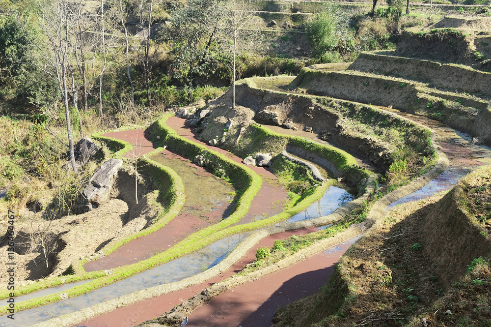 rice terraces of yuanyang in yunnan, china