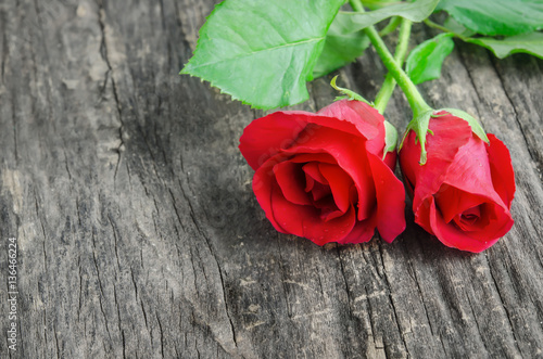 Fototapeta Naklejka Na Ścianę i Meble -  Close up of red rose flowers on wooden background