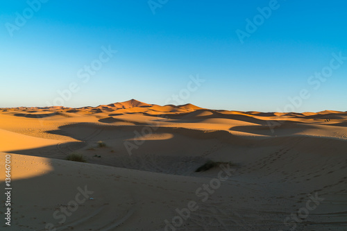 sand dune 