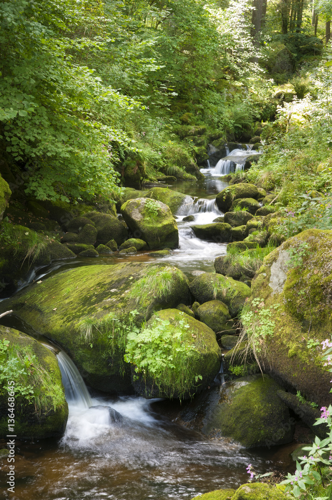 Schwarzwald, Triberger Wasserfälle, Baden-Wuerttemberg, Schwarzwald, Triberger Wasserfälle, Baden-Wuerttemberg,