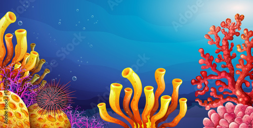 Underwater scene with coral reef and sea urchin