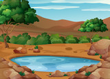 Scene with water hole on the ground