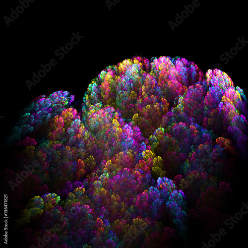 Fractal Alien Branches Isolated on Black - Fractal Art 