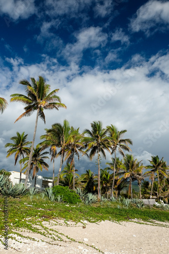 Luxury villa on the beach. Reunion island, France © cthoquenne