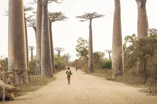 Картината върху платно Baobab Alley in Madagascar, Africa. People walking on baobab all