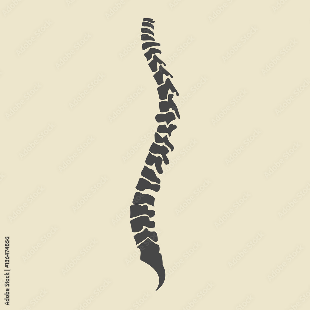 Grey spine icons. Vector illustration of human organs Grey spine icons. Vector illustration of human organs