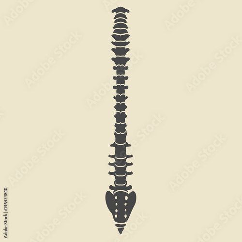 Grey spine icons. Vector illustration of human organs