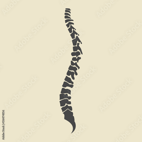 Grey spine icons. Vector illustration of human organs