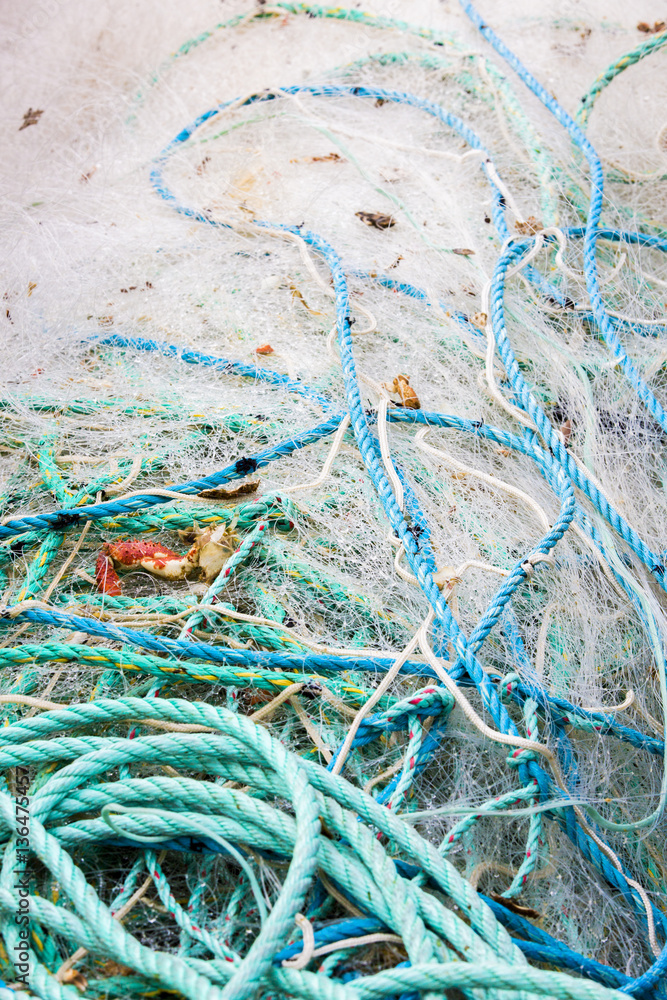 Filets de pêche Filets de pêche