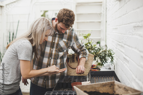 Couple sprinkling seeds in seedling tray while working in greenhouse