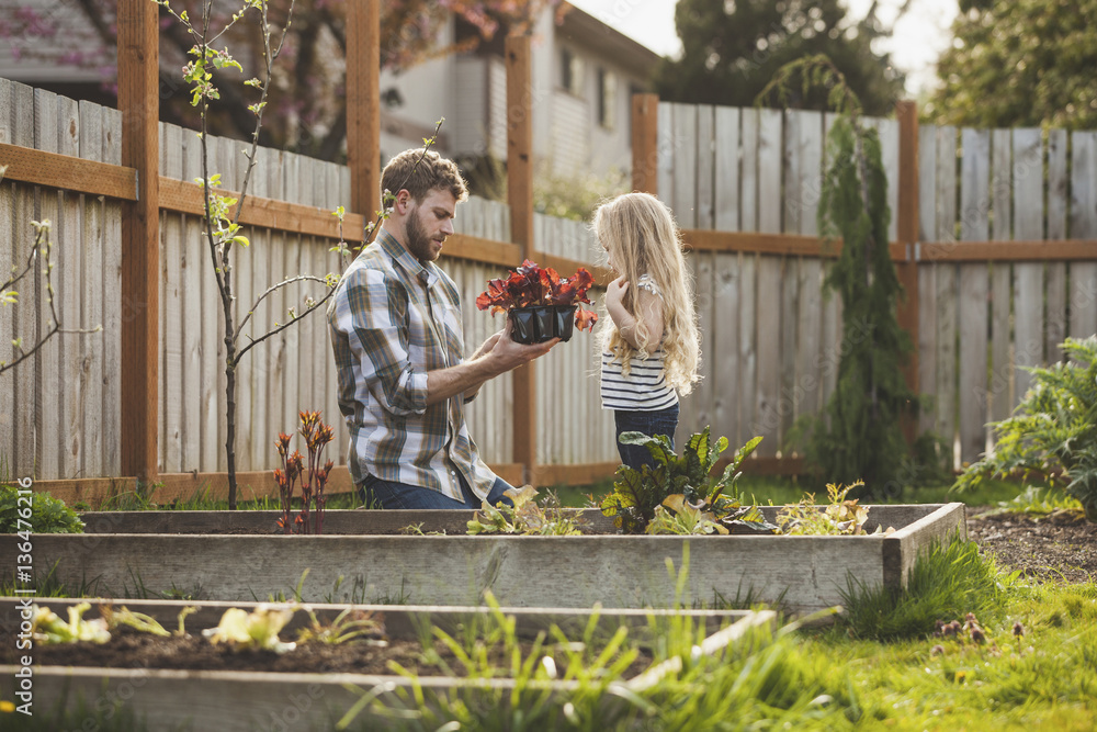 Father showing plant to daughter while gardening at backyard Father showing plant to daughter while gardening at backyard