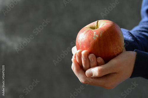 Hands holding a red, ripe apple - marine blue sleves