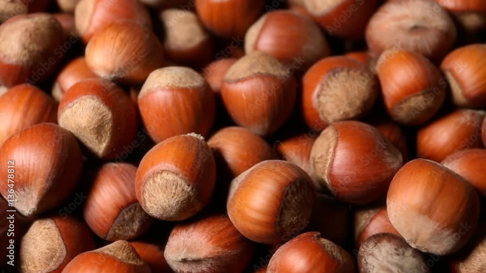 A pile of shelled hazelnuts rotating smoothly and slowly. Macro shot. A pile of shelled hazelnuts rotating smoothly and slowly. Macro shot.