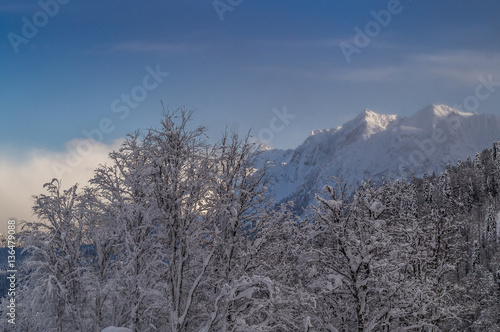 A Panoramic view  the nountains of  skiing area Rosa Khutor; Krasnaya Polyana; Sochi; Russia. photo