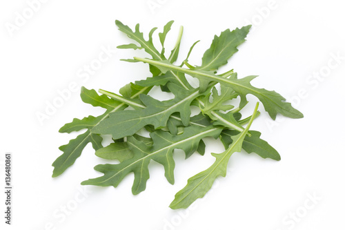 Close up studio shot of green fresh rucola isolated on white bac