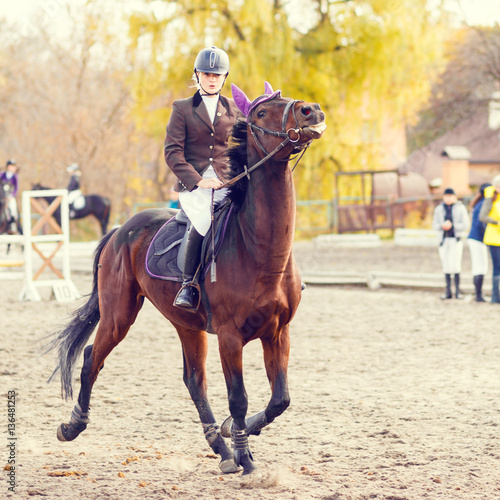 Young rider woman riding horse at the competition. Equestrian sport background