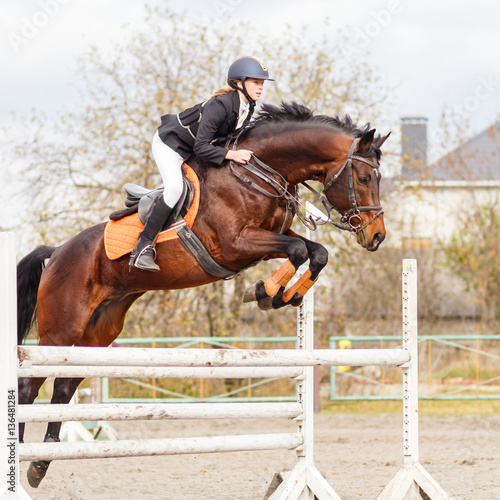 Young female rider on bay horse jumping over hurdle on equestrian sport competition © skumer