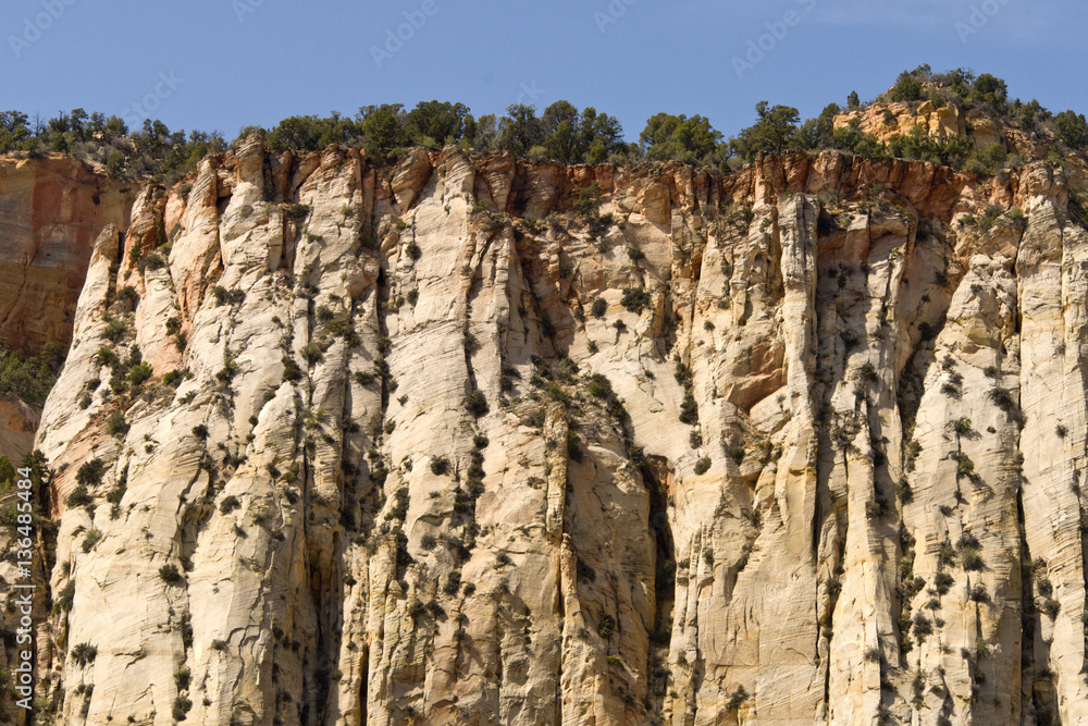Zion mountains and cliffs with trees growing out of rocks Zion mountains and cliffs with trees growing out of rocks