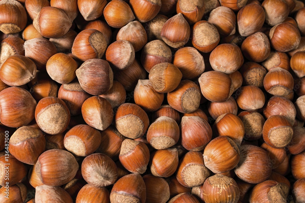 A pile of shelled hazelnuts. Macro shot. A pile of shelled hazelnuts. Macro shot.