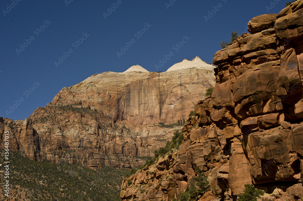 Fototapeta premium Zion, rocky mountains with trees growing out of the rocks