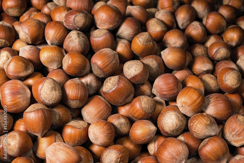 A pile of shelled hazelnuts. Macro shot.