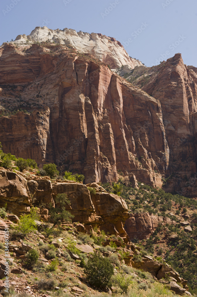 Fototapeta premium Zion, rocky mountains with trees growing out of the rocks