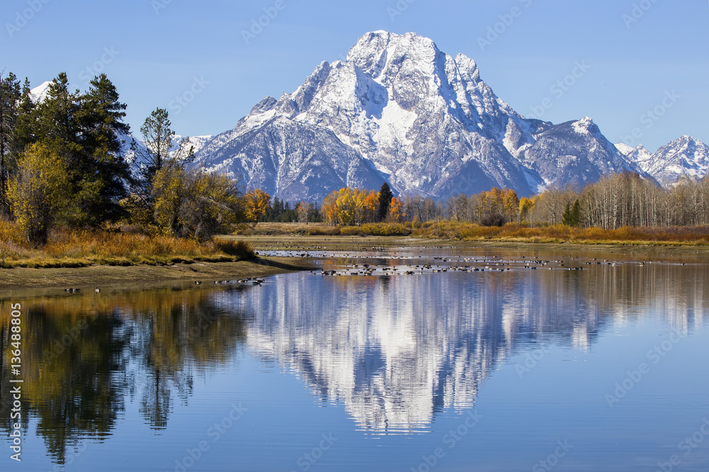Oxbow Bend featuring Mount Moran and fall colors