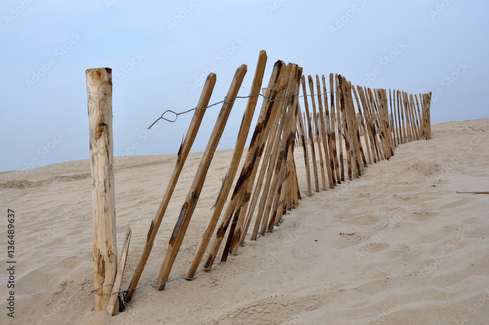 Wooden fence on a sandy beach, the Netherlands Wooden fence on a sandy beach, the Netherlands