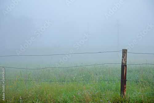 Fence and Fog at spring morning