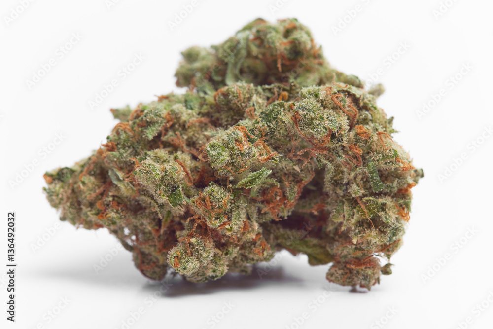 Close up of Jack Herrer medical marijuana buds Close up of Jack Herrer medical marijuana buds