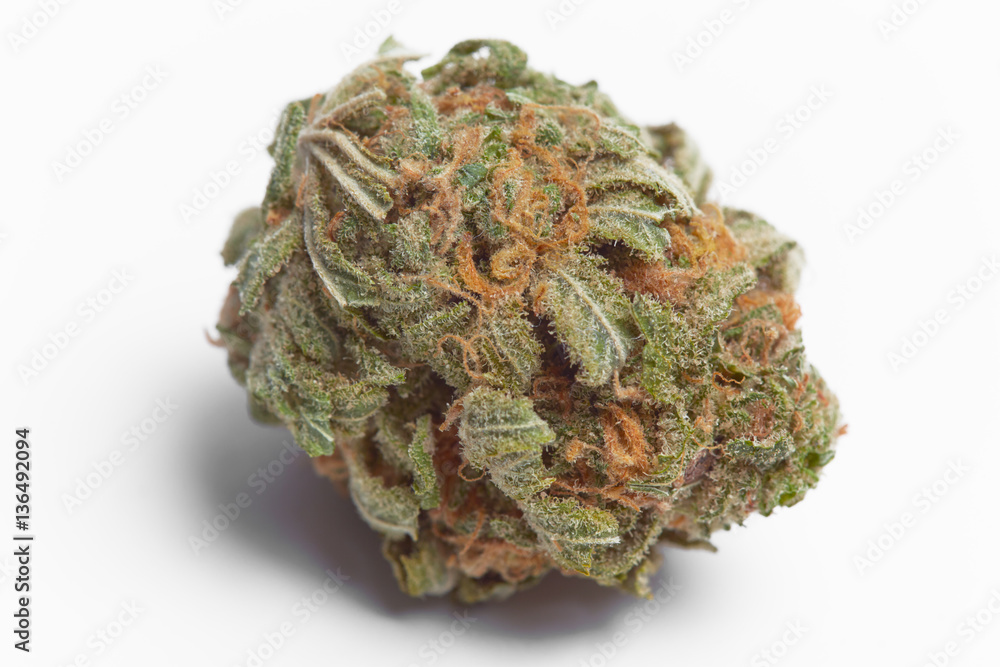 Close up of Charlie Sheen medical marijuana buds Close up of Charlie Sheen medical marijuana buds