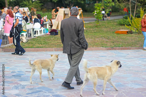 clochard with dog walking near park on the street