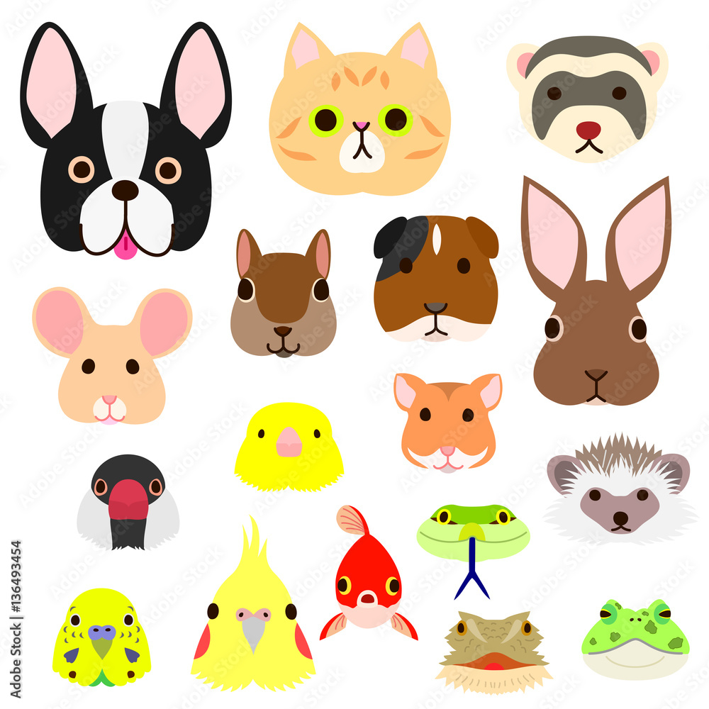 pet animals faces colorful set