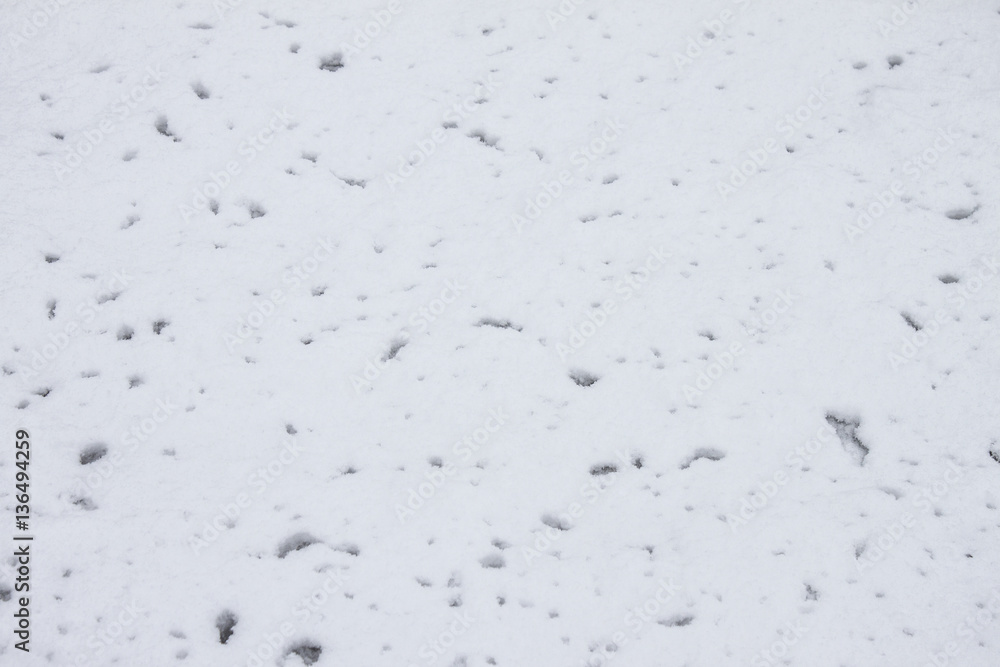Snow texture Snow texture