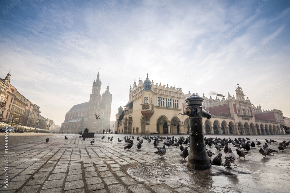 Beautiful market square with birds, Krakow, Poland