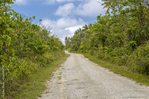 Ring road through native tropical bush, Niue