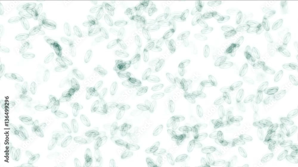 Moving microbes under microscope Moving microbes under microscope