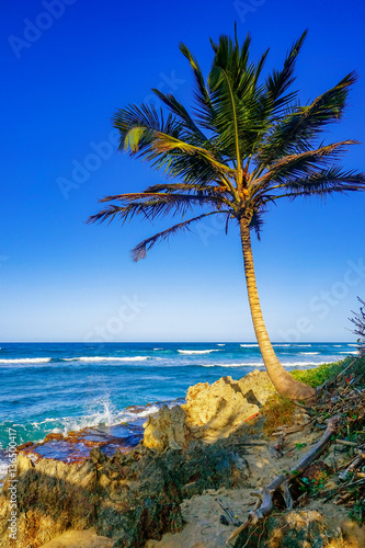 Tropical Beach