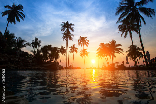 Bright sunset among palm trees on a tropical beach.