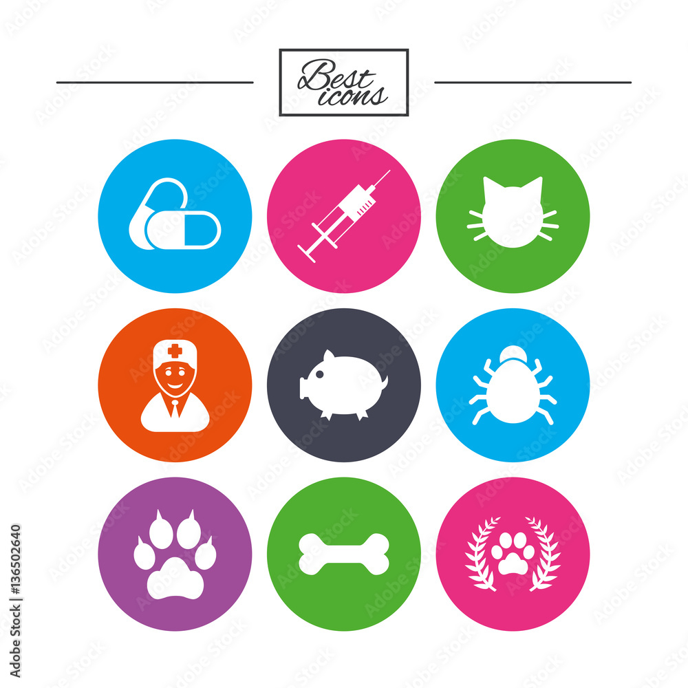 Veterinary, pets icons. Paw, syringe and bone.