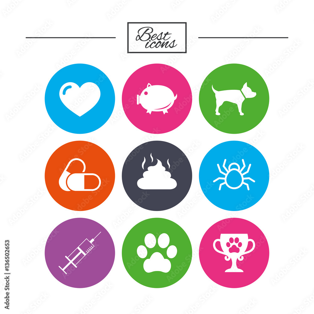 Veterinary, pets icons. Dog paw, syringe signs.