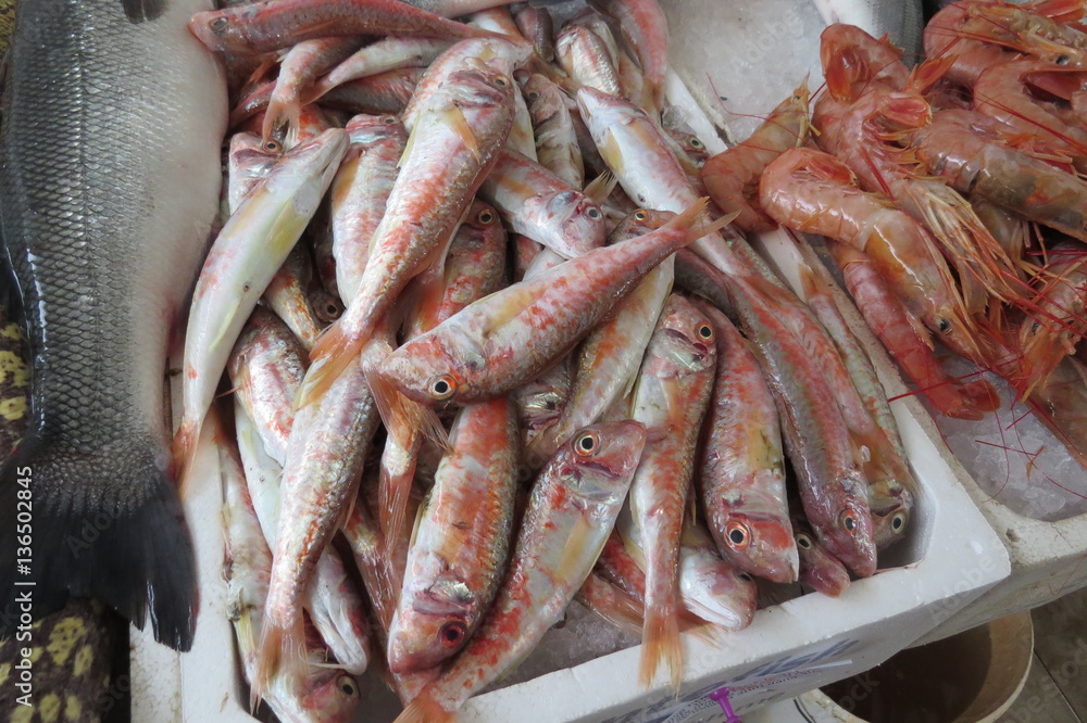 Surmullet from Adriatic sea. Fish market in Bar, Montenegro.