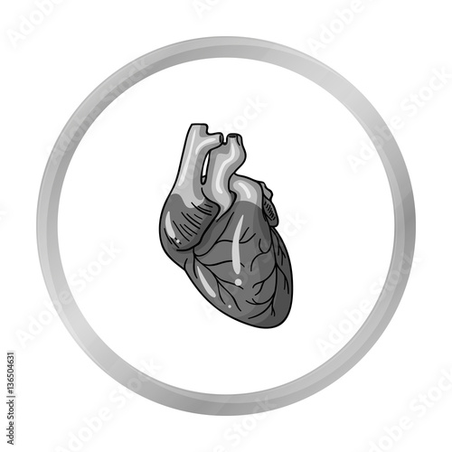 Human heart icon in monochrome style isolated on white background. Human organs symbol stock vector illustration.