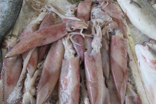 Fresh squids from Adriatic sea in Bar-city, Montenegro