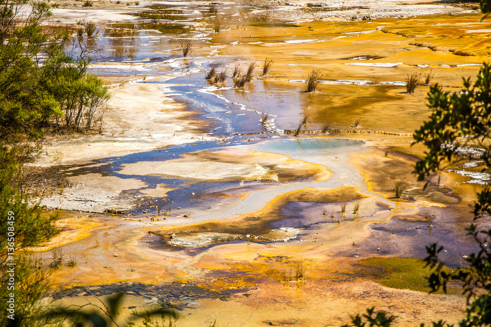 Orakei Korako geotermal valley, mud pool Orakei Korako geotermal valley, mud pool